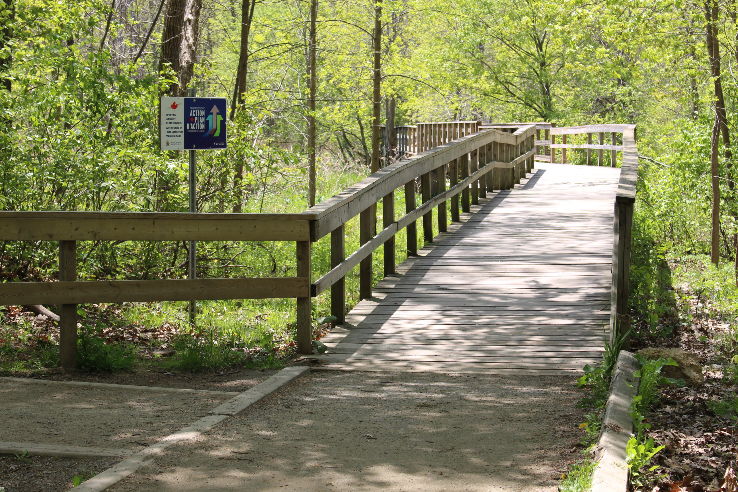 Rattray Marsh Conservation Area Trip Packages