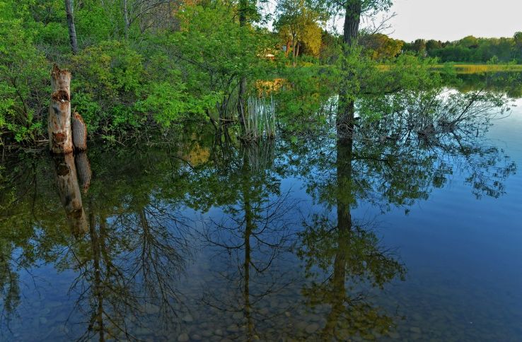 Rattray Marsh Conservation Area Trip Packages