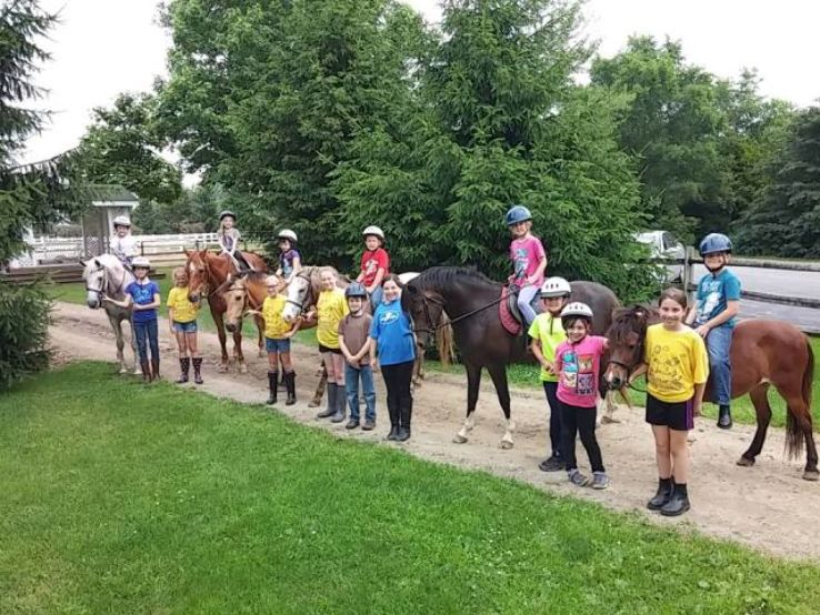 Stonehaven Farms Trip Packages