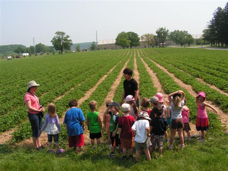 Stonehaven Farms Trip Packages