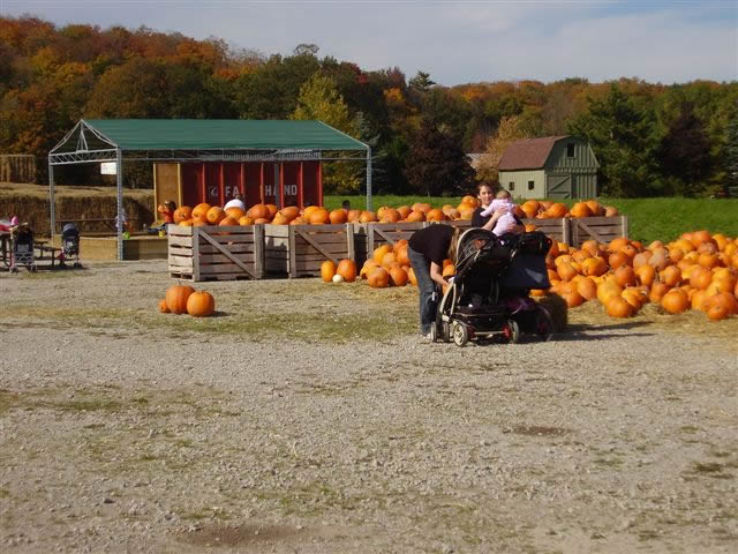 Stonehaven Farms Trip Packages