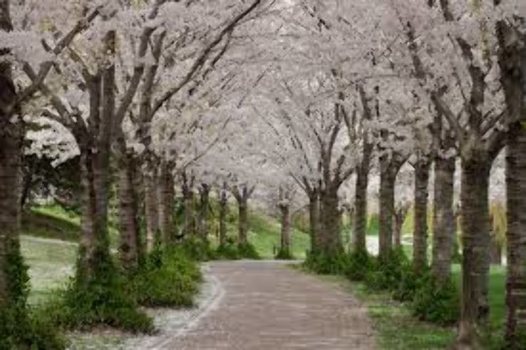 Spencer Smith Park Trip Packages