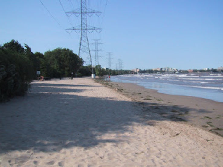  Burlington Beach Trip Packages