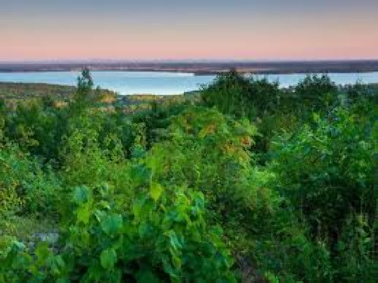 Park national dOka Trip Packages