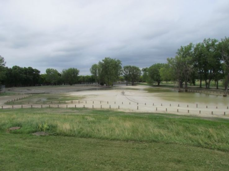 Dinsdale Park Trip Packages