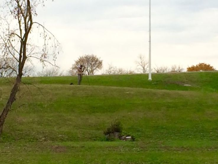 Dinsdale Park Trip Packages