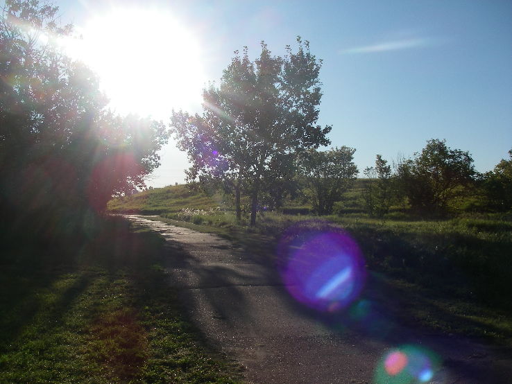 Strathcona Science Provincial Park Trip Packages