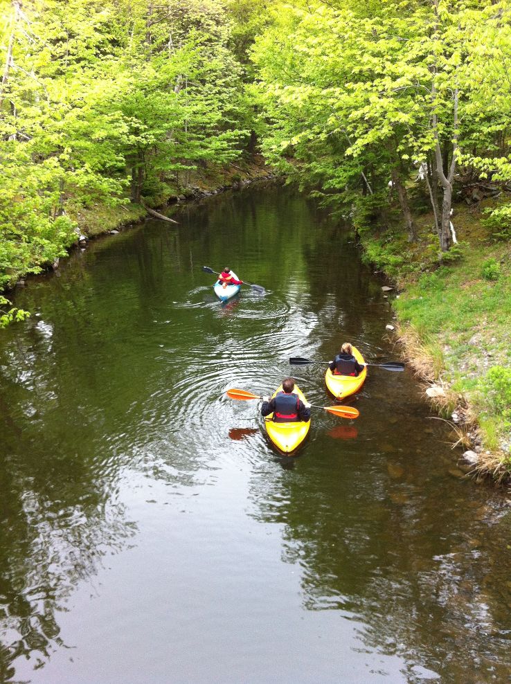 Shubie Park Trip Packages