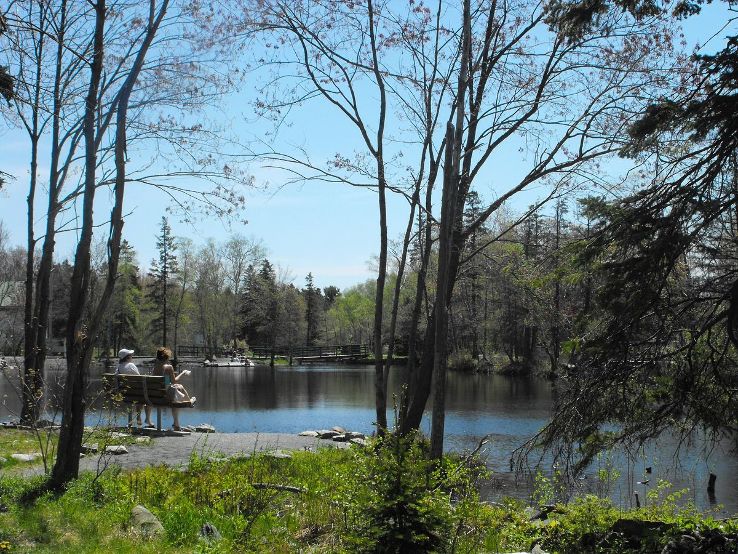 Shubie Park Trip Packages