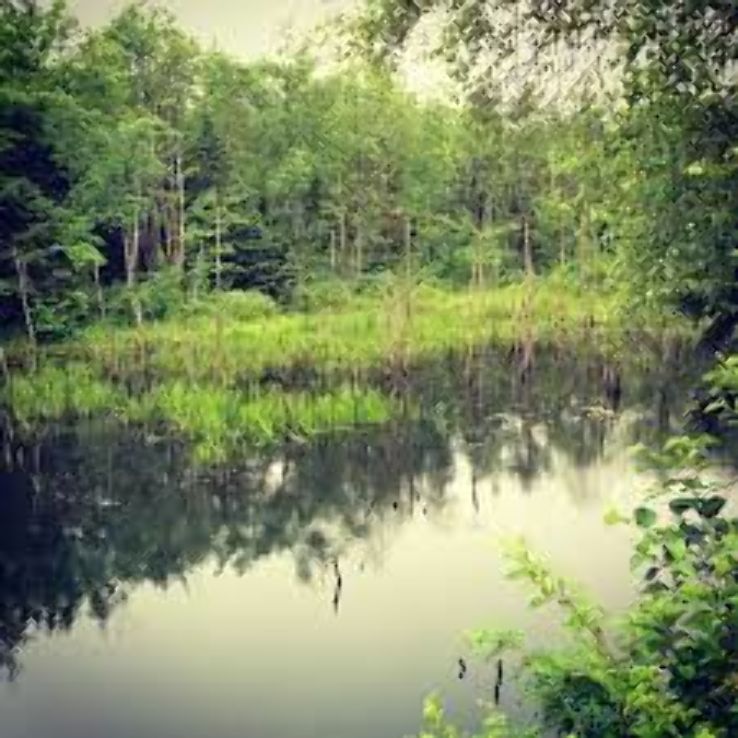 Shubie Park Trip Packages