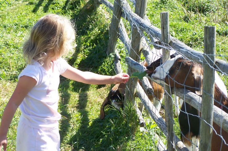 Cole Harbour Heritage Farm Museum Trip Packages