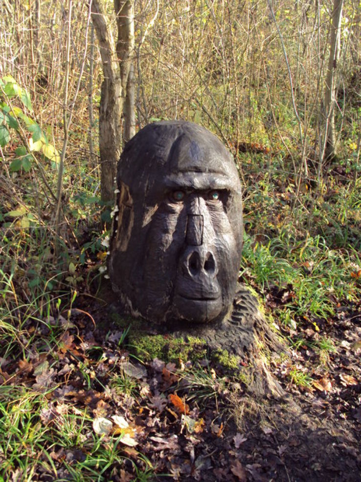 Linford Wood Trip Packages