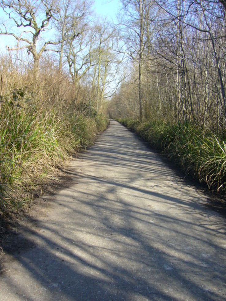 Marks Hall  Trip Packages