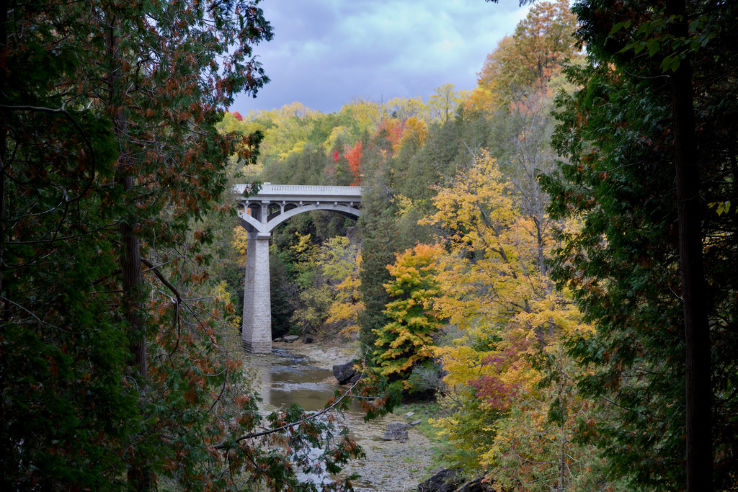 Elora Gorge Trip Packages