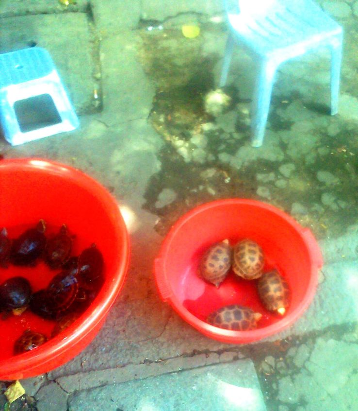 Jade Emperor Pagoda  Trip Packages