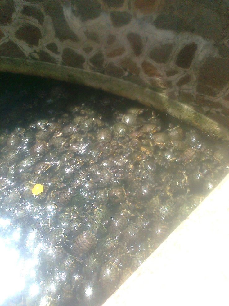 Jade Emperor Pagoda  Trip Packages