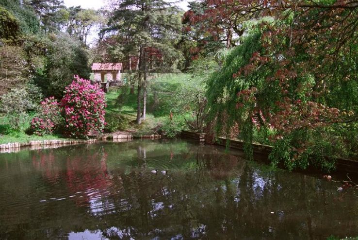 Clyne Gardens  Trip Packages