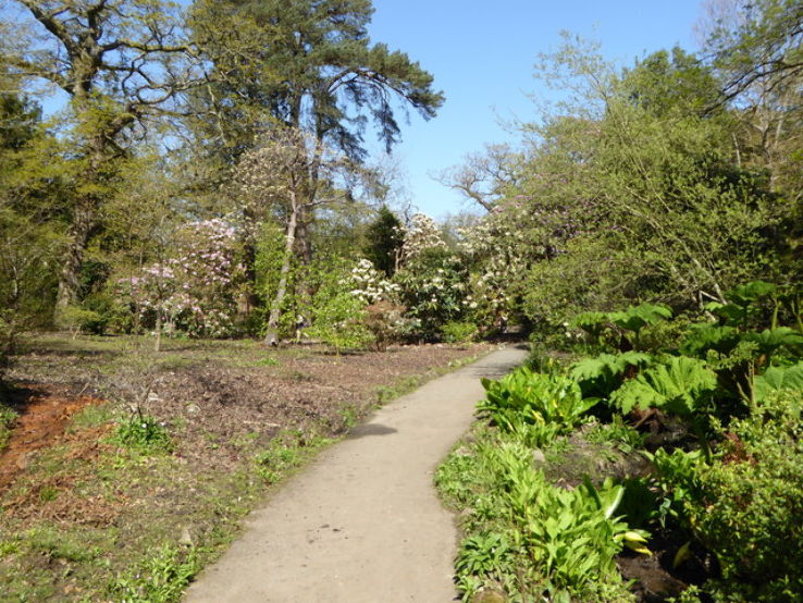 Singleton Park  Trip Packages