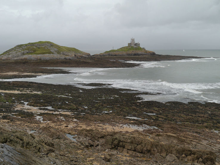 Bracelet Bay Trip Packages