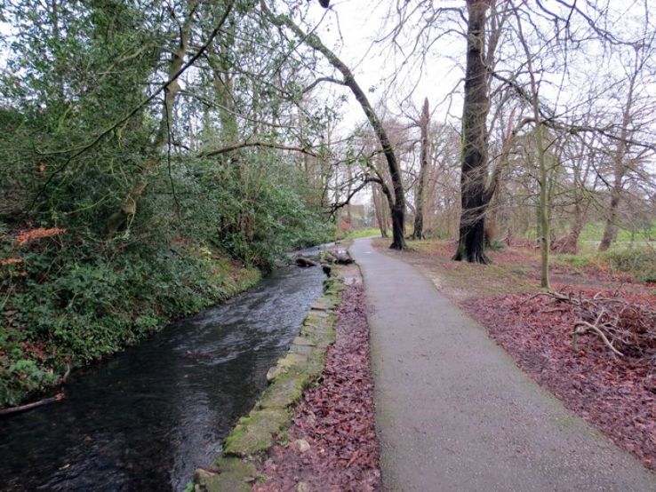 Brynmill Park  Trip Packages