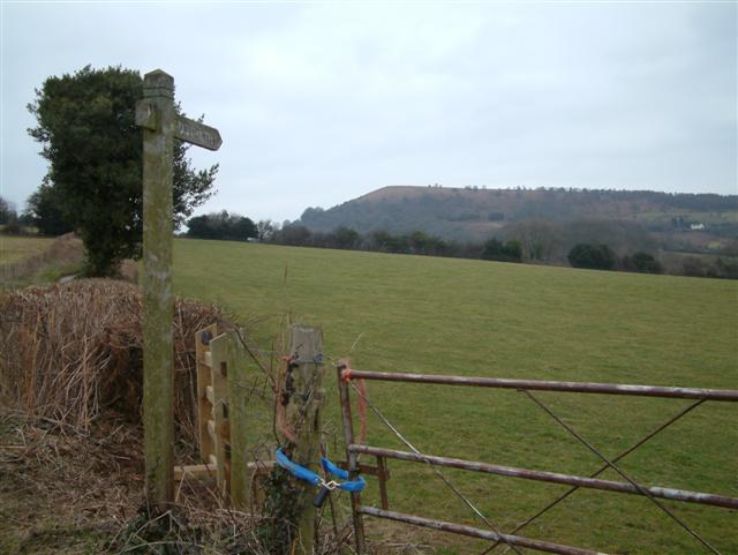 Wentwood Trip Packages