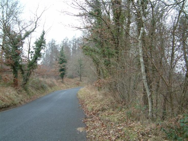 Wentwood Trip Packages