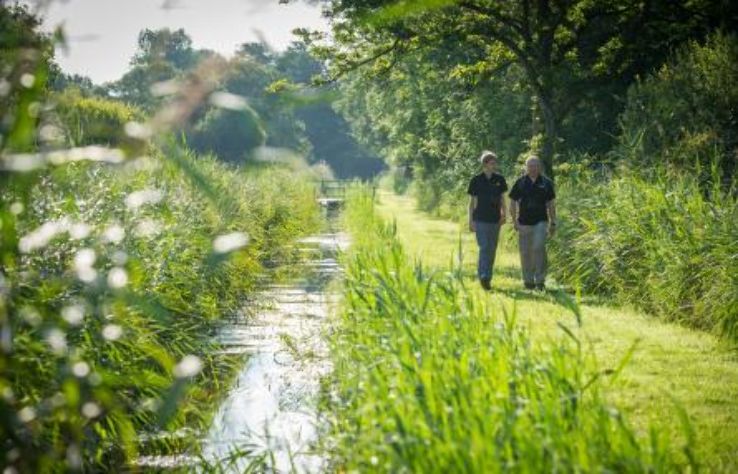 Magor Marsh Trip Packages