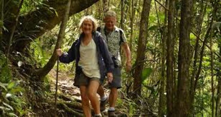 Jungle At Bach Ma National Park  Trip Packages