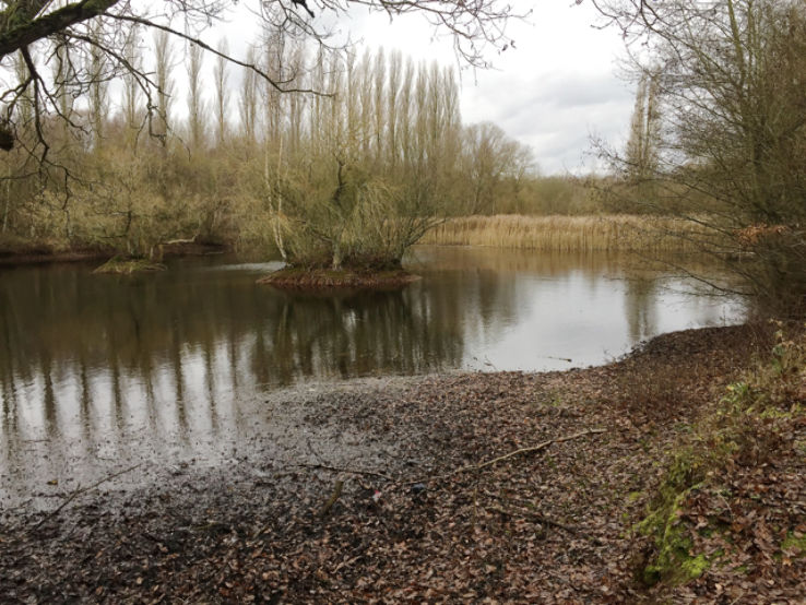 Brandon Marsh  Trip Packages