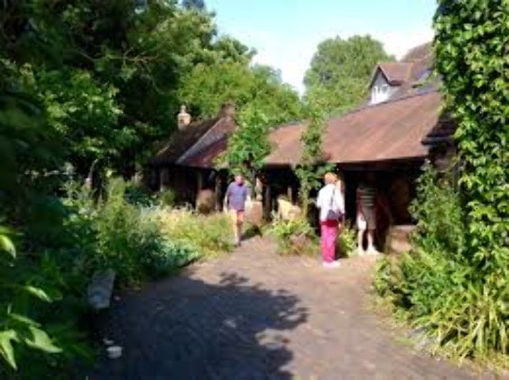 Chedhams Yard Trip Packages