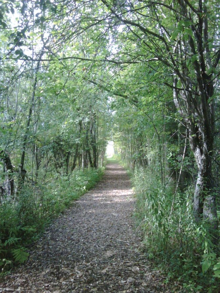 The Upper Canada Migratory Bird Sanctuary  Trip Packages