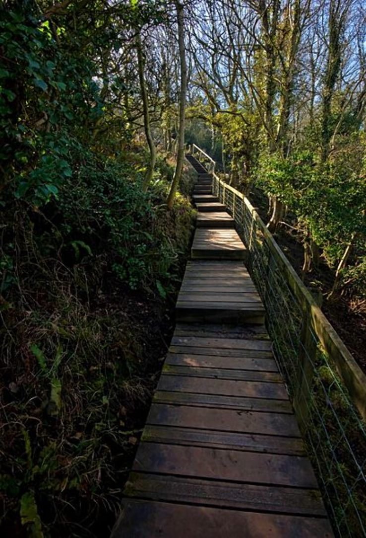 Cleveland Way Trip Packages