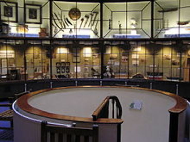 Rotunda Museum Trip Packages