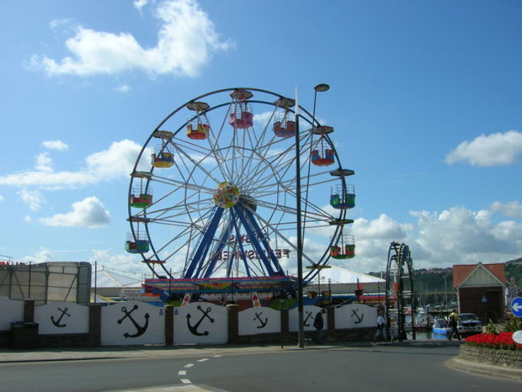 Scarborough Fair Collection Trip Packages