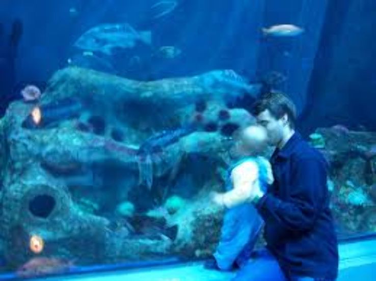 Aquarium du Quebec  Trip Packages