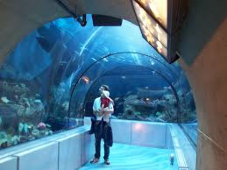 Aquarium du Quebec  Trip Packages