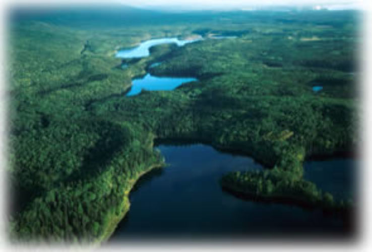 Heather Dina Lakes Provincial Park  Trip Packages