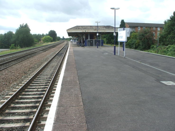 Burnham Beeches Trip Packages