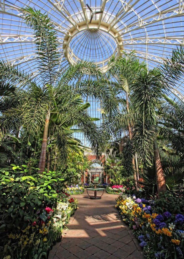 Buffalo and Erie County Botanical Gardens Trip Packages