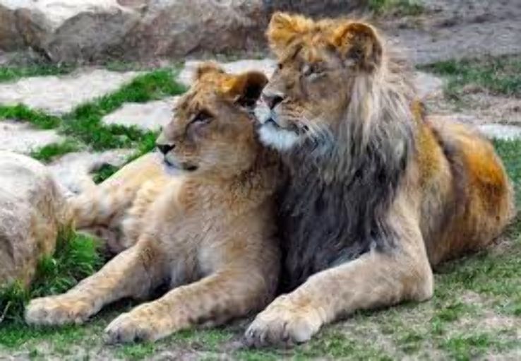 Saskatoon Forestry Farm Park & Zoo  Trip Packages