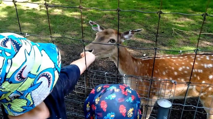 Saskatoon Forestry Farm Park & Zoo  Trip Packages