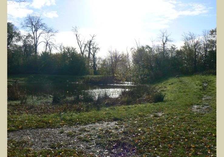 Fryent Country Park Trip Packages