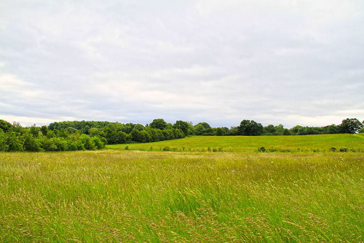 Fryent Country Park Trip Packages