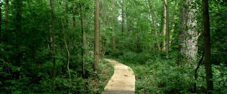 Denham Country Park Trip Packages