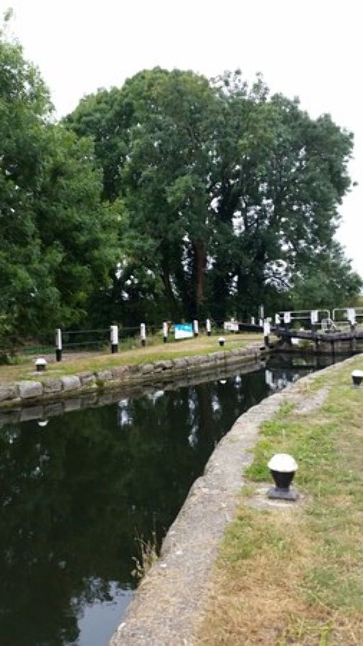 Denham Country Park Trip Packages