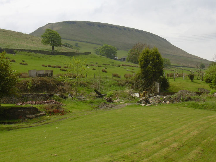Musbury Tor  Trip Packages