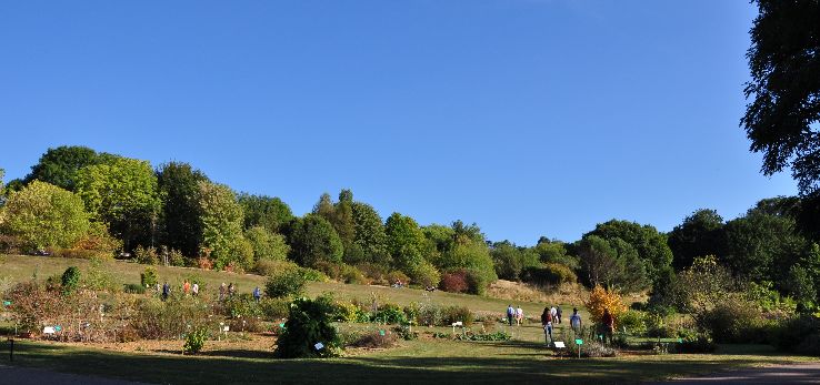 Jardin botanique du Montet Trip Packages