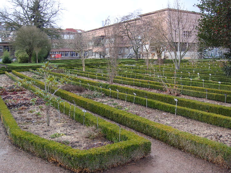 Jardin Dominique Alexandre Godron Trip Packages