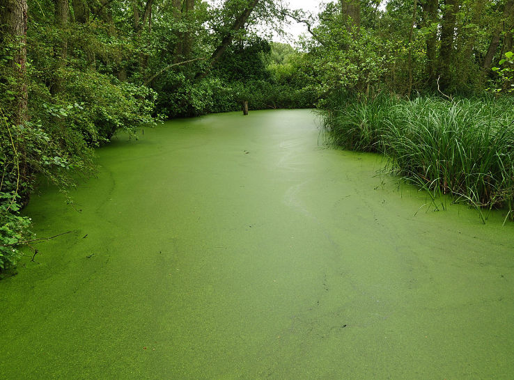 Stodmarsh National Nature Reserve  Trip Packages