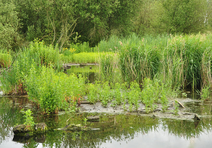 Stodmarsh National Nature Reserve  Trip Packages